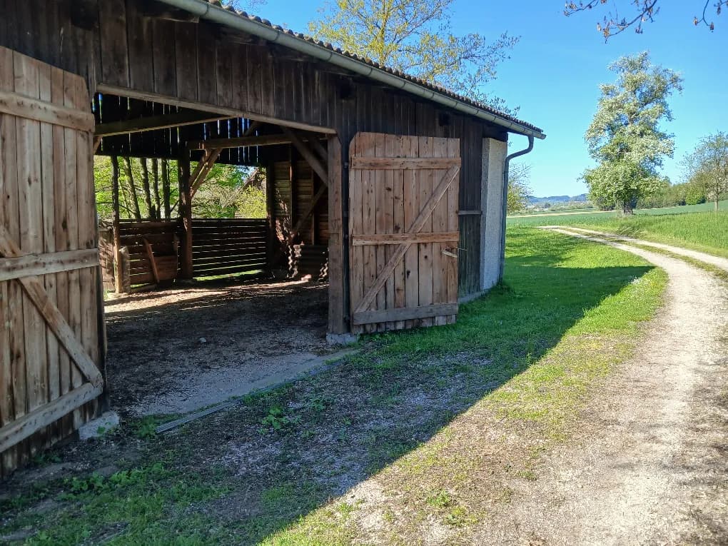 Immobilie mieten in Wels-Land – 46 m², € 270 – Bild 2 von 2