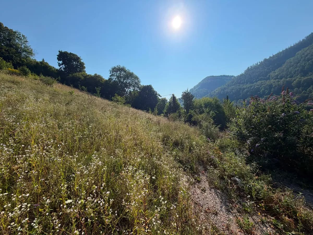 Grundstück kaufen in Graz-Umgebung – 1 664 m², € 115.000 – Bild 2 von 4