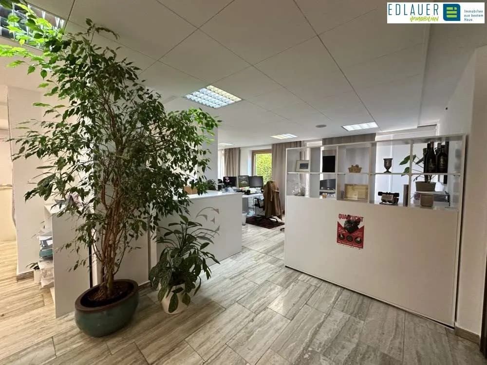 2-Zimmer-Gewerbeimmobilie mieten in Sankt Pölten – 120 m², € 1.299 – Bild 5 von 23