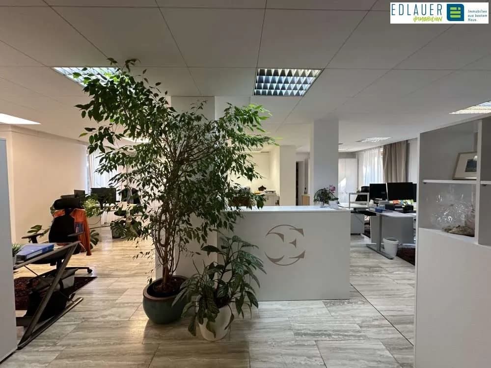 2-Zimmer-Gewerbeimmobilie mieten in Sankt Pölten – 120 m², € 1.299 – Bild 7 von 23