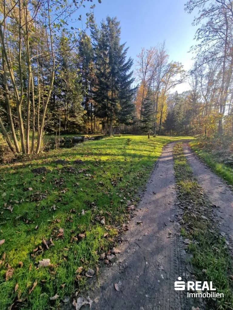Haus kaufen in Ried im Innkreis – 132 m², € 299.000 – Bild 4 von 7