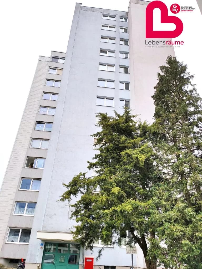 1-Zimmer-Wohnung mieten in Linz Land – 37,92 m², € 340 – Bild 9 von 12