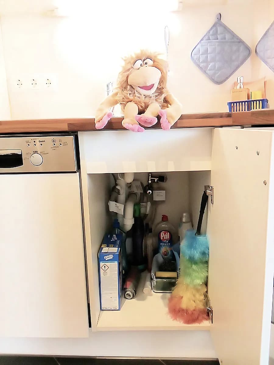 2-Zimmer-Wohnung mieten in Wien – 38 m², € 1.111 – Bild 20 von 66