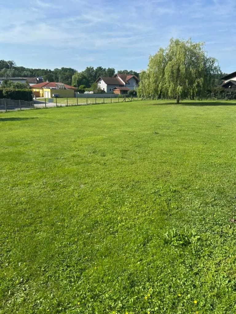Grundstück kaufen in Grieskirchen – 650 m², € 83.000 – Bild 1 von 3
