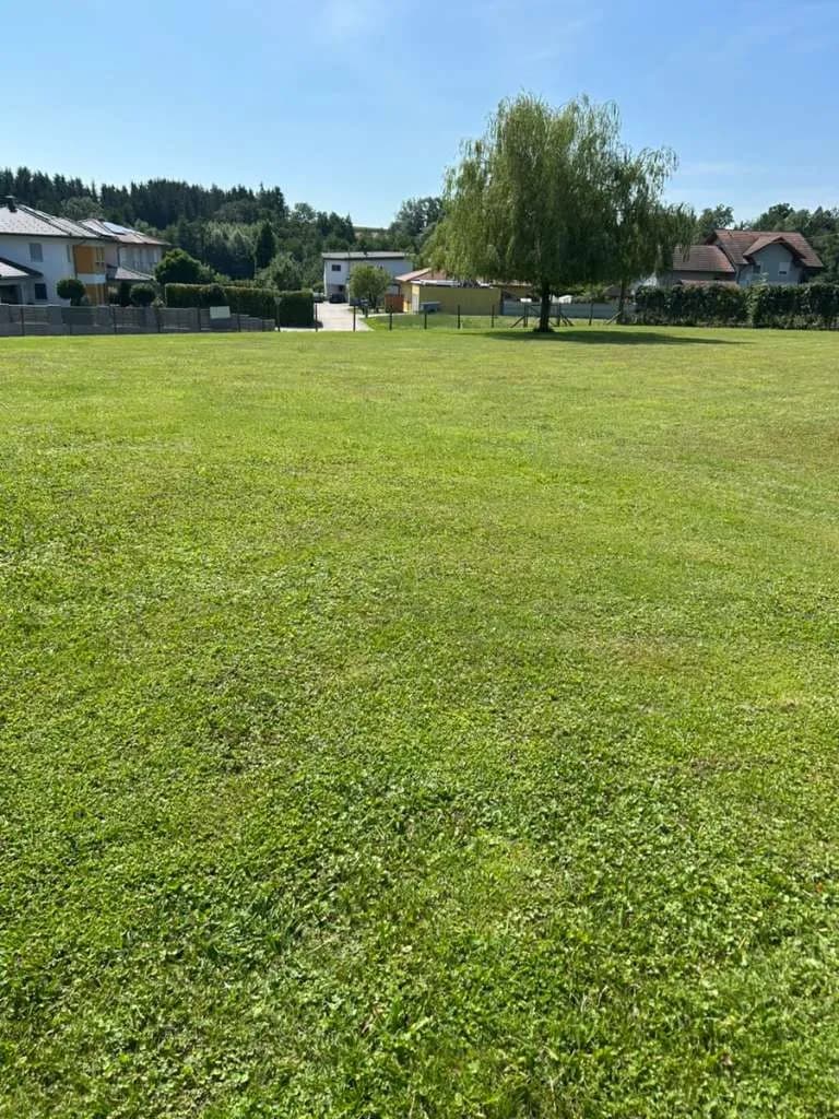 Grundstück kaufen in Grieskirchen – 650 m², € 83.000 – Bild 2 von 3