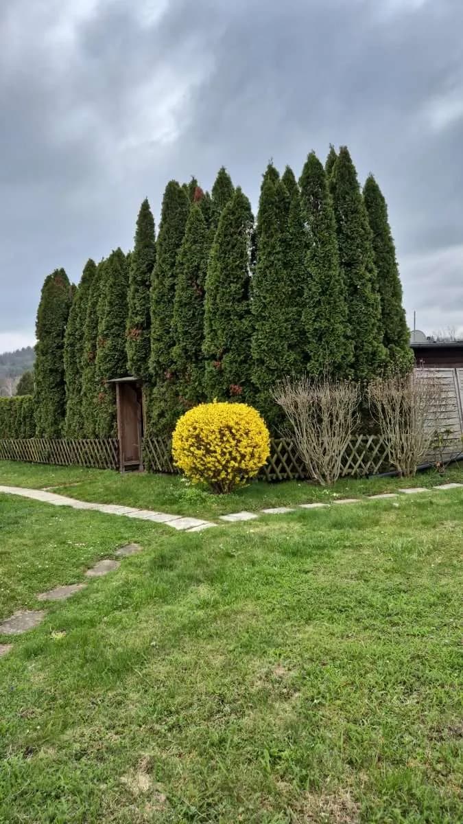 3-Zimmer-Wohnung kaufen in Sankt Pölten Land – 38 m², € 24.900 – Bild 6 von 11