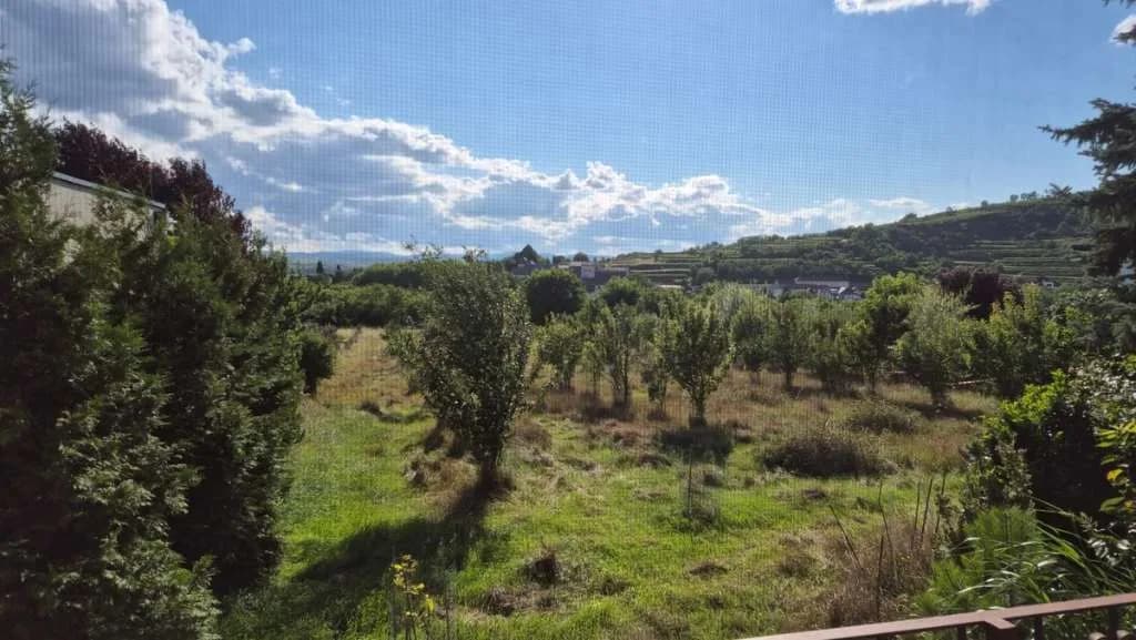 6-Zimmer-Haus kaufen in Krems Land – 190 m², € 590.000 – Bild 3 von 18