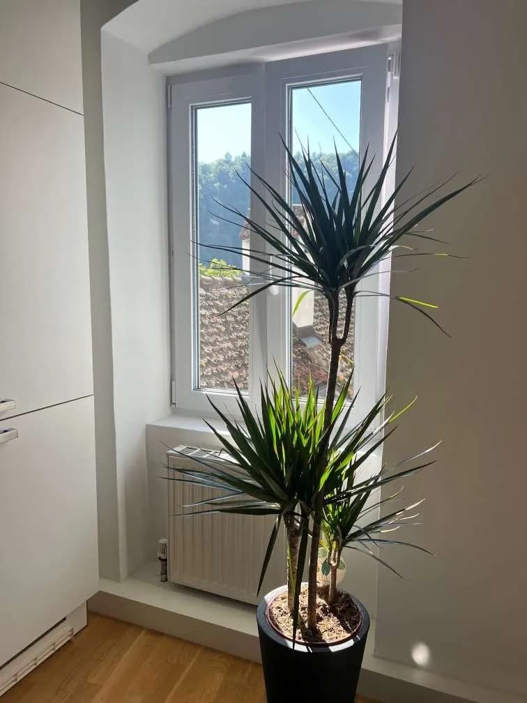 2-Zimmer-Wohnung mieten in Linz – 41 m², € 1.400 – Bild 22 von 38