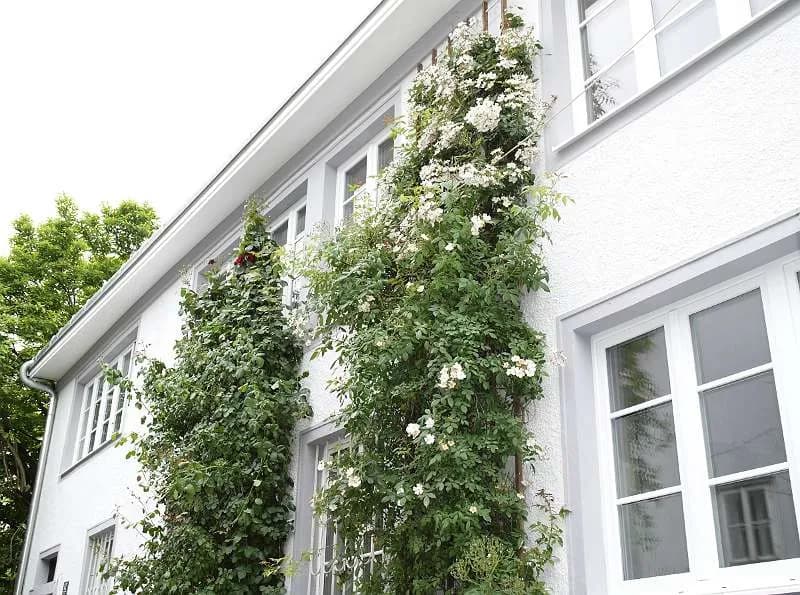 3-Zimmer-Wohnung mieten in Linz – 60 m², € 1.800 – Bild 14 von 16