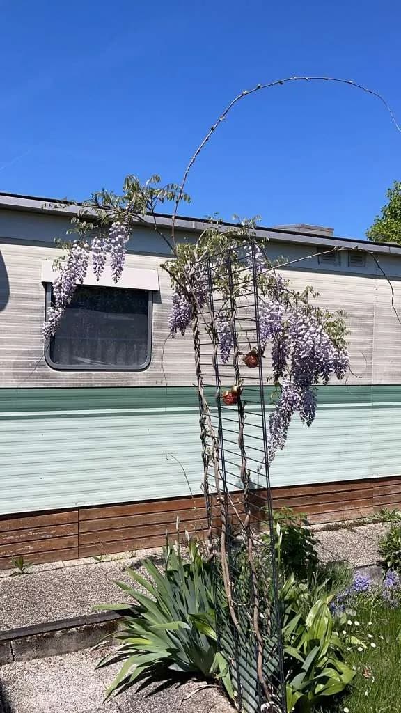 4-Zimmer-Immobilie kaufen in Eisenstadt - Umgebung – 39 m², € 30.000 – Bild 7 von 10