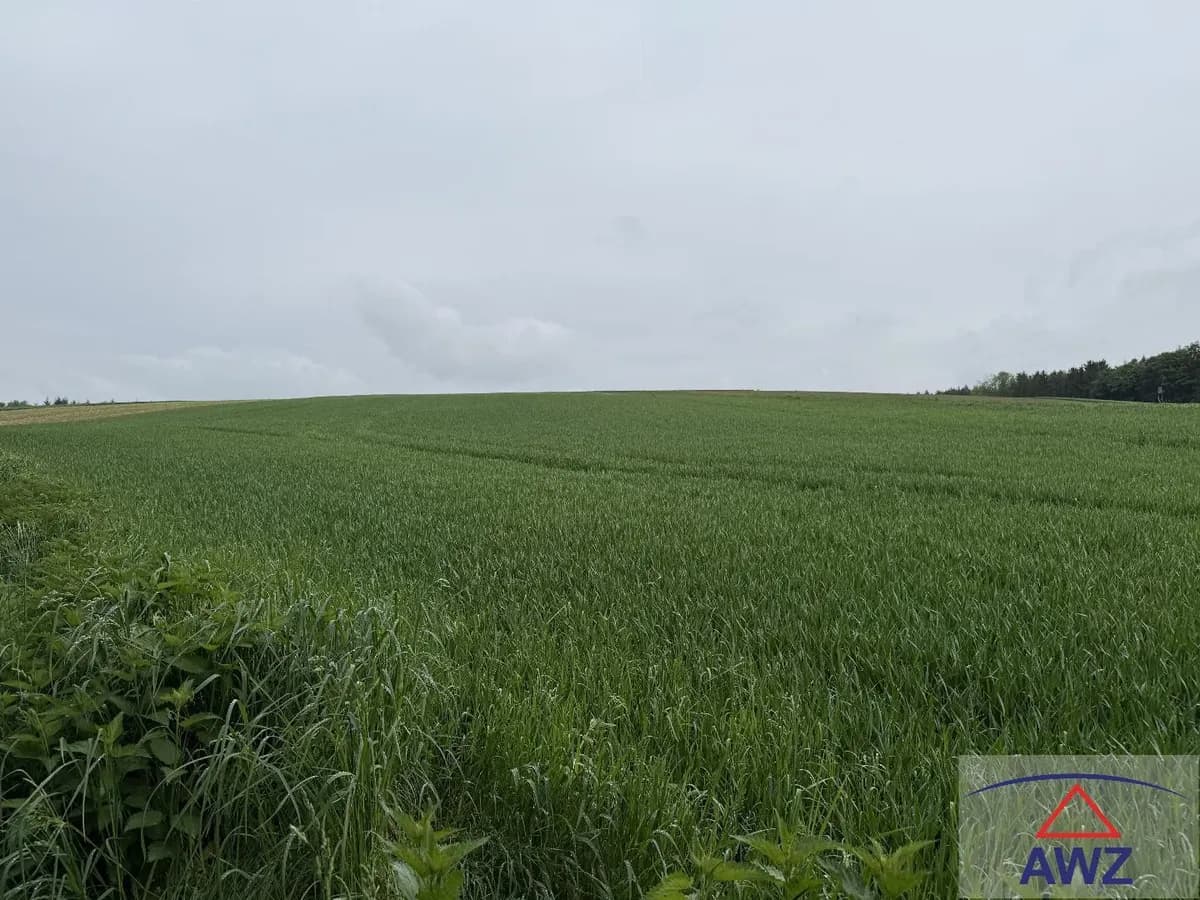 Grundstück kaufen in Sankt Pölten Land – 19 838 m²