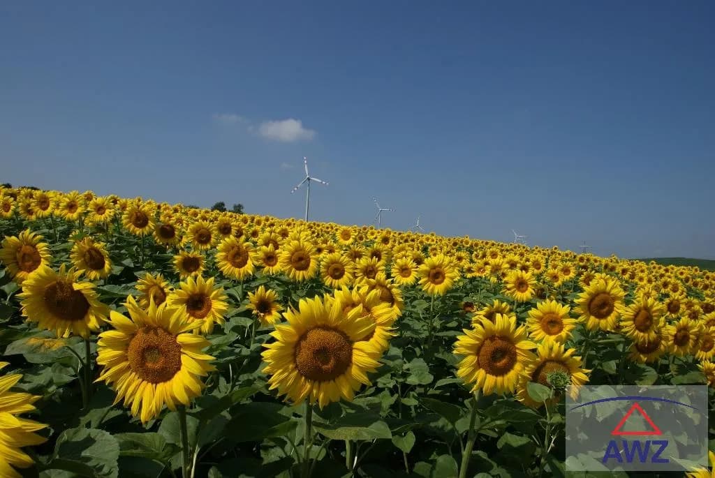Grundstück kaufen in Bruck an der Leitha – 19 000 m²