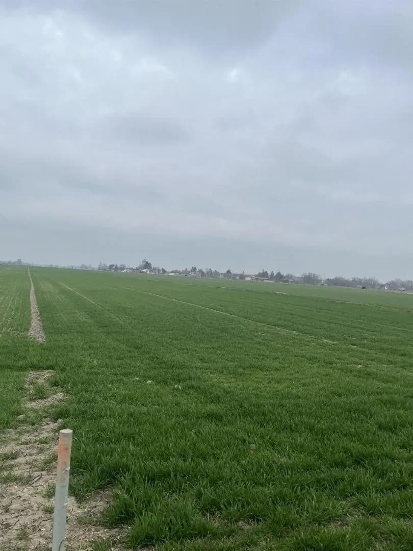 Grundstück kaufen in Gänserndorf – 1 m² – Bild 1 von 2