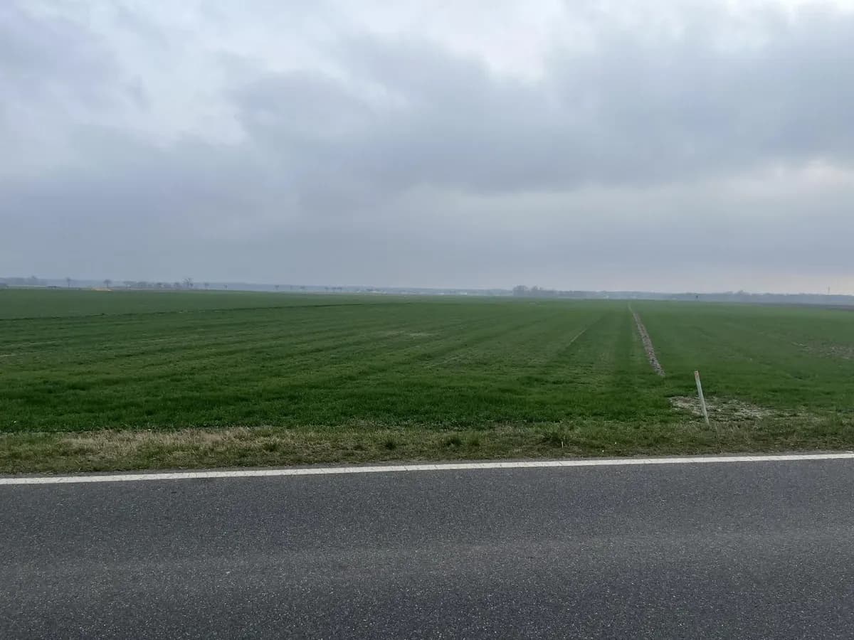 Grundstück kaufen in Gänserndorf – 1 m² – Bild 2 von 2