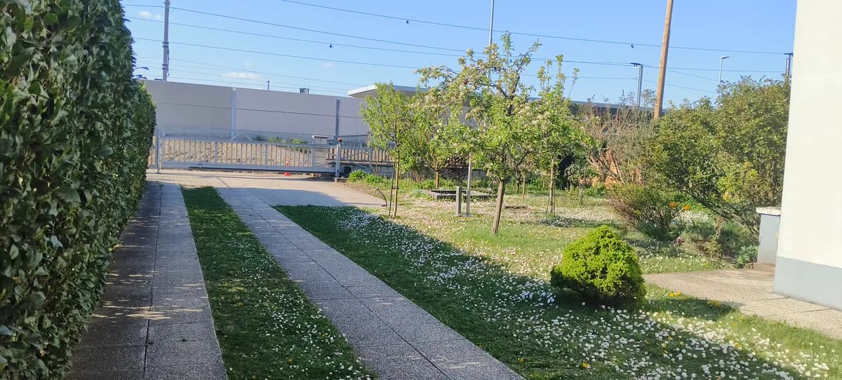 4-Zimmer-Wohnung mieten in Gänserndorf – 128 m², € 1.600 – Bild 3 von 11