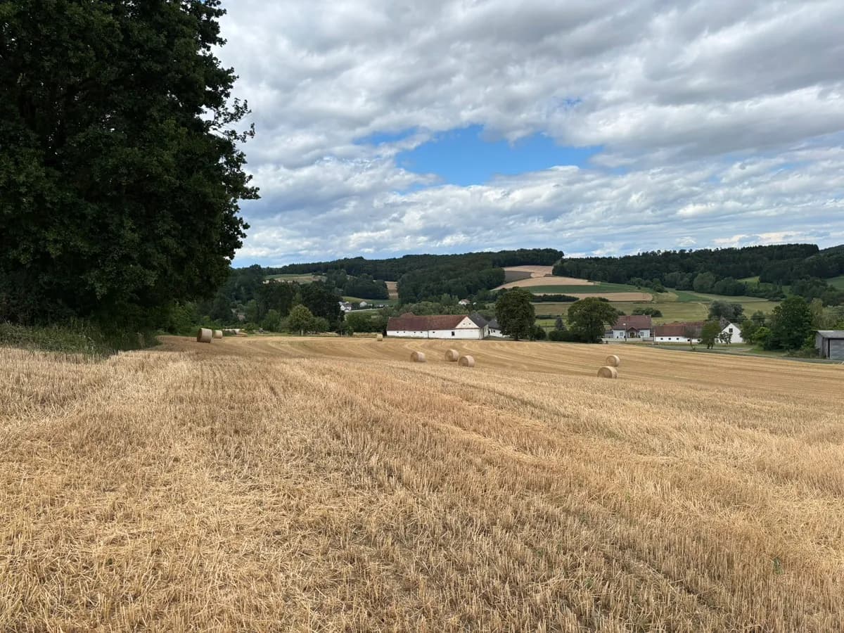 Grundstück kaufen in Güssing – 2 900 m², € 71.999 – Bild 5 von 11