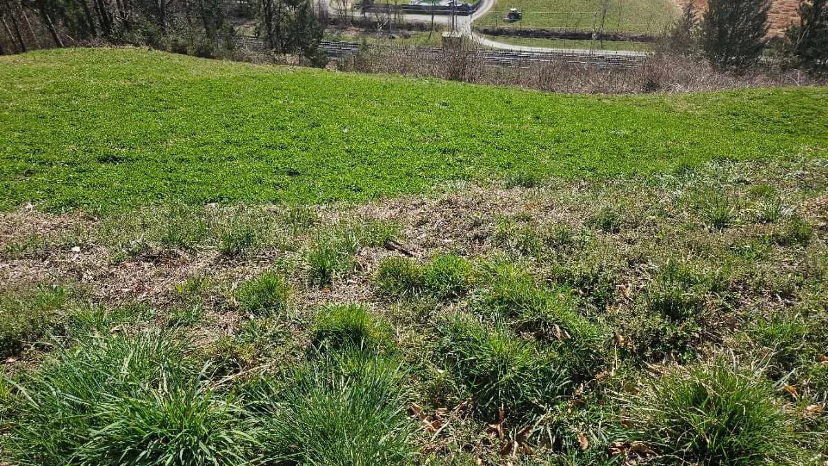 Grundstück kaufen in Villach Land – 500 m², € 35.000 – Bild 6 von 13
