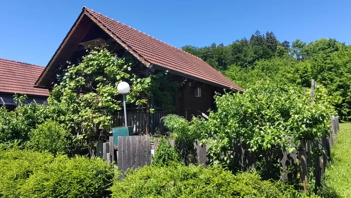 2-Zimmer-Wohnung kaufen in Leibnitz – 40 m², € 88.000 – Bild 1 von 10