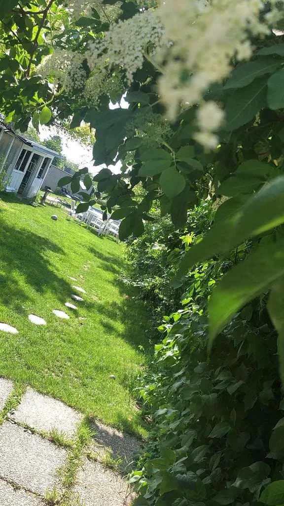 2-Zimmer-Haus kaufen in Wiener Neustadt Land – 71 m², € 279.999 – Bild 39 von 47