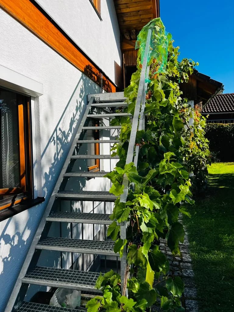 Haus kaufen in Rohrbach – 130 m², € 450.000 – Bild 3 von 18