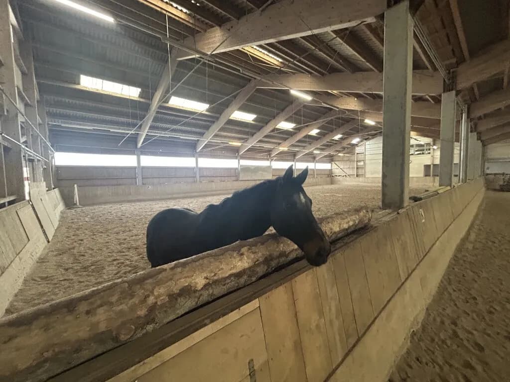 Immobilie mieten in Vöcklabruck – 30 000 m², € 2.000 – Bild 11 von 28