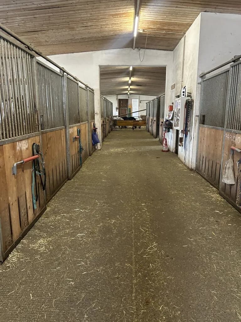 Immobilie mieten in Vöcklabruck – 30 000 m², € 2.000 – Bild 15 von 28