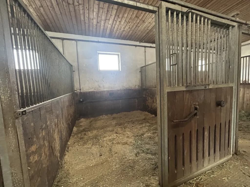 Immobilie mieten in Vöcklabruck – 30 000 m², € 2.000 – Bild 16 von 28