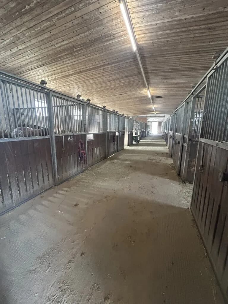 Immobilie mieten in Vöcklabruck – 30 000 m², € 2.000 – Bild 17 von 28