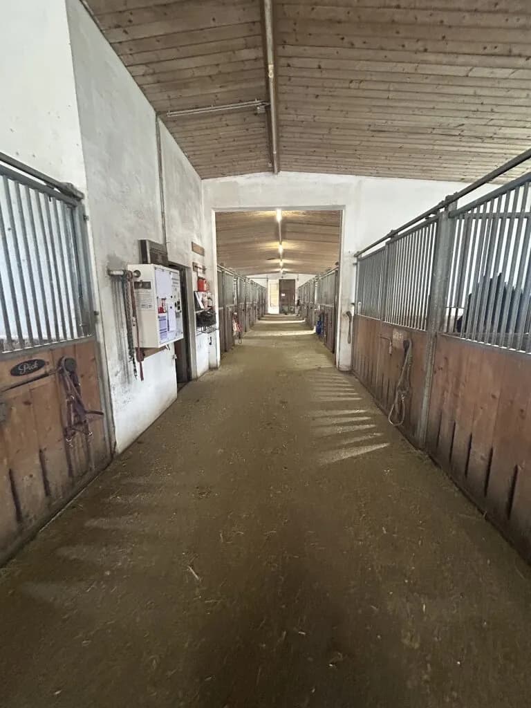 Immobilie mieten in Vöcklabruck – 30 000 m², € 2.000 – Bild 18 von 28