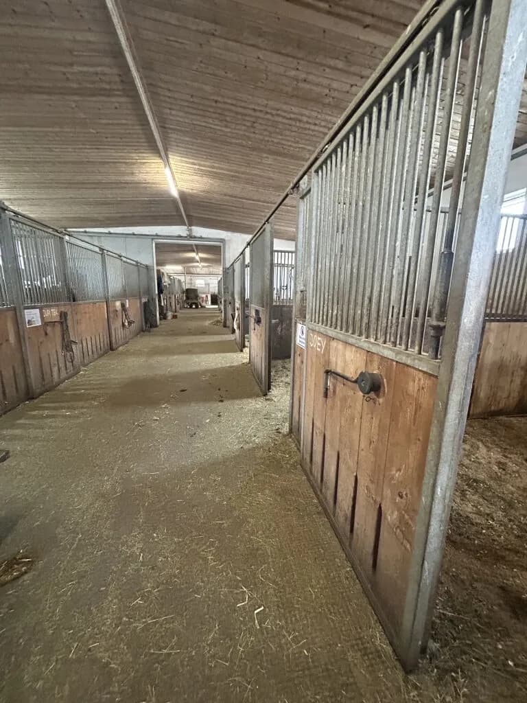 Immobilie mieten in Vöcklabruck – 30 000 m², € 2.000 – Bild 19 von 28
