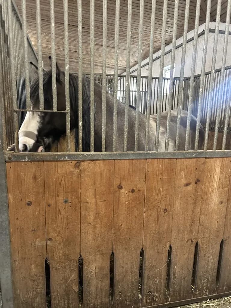 Immobilie mieten in Vöcklabruck – 30 000 m², € 2.000 – Bild 21 von 28