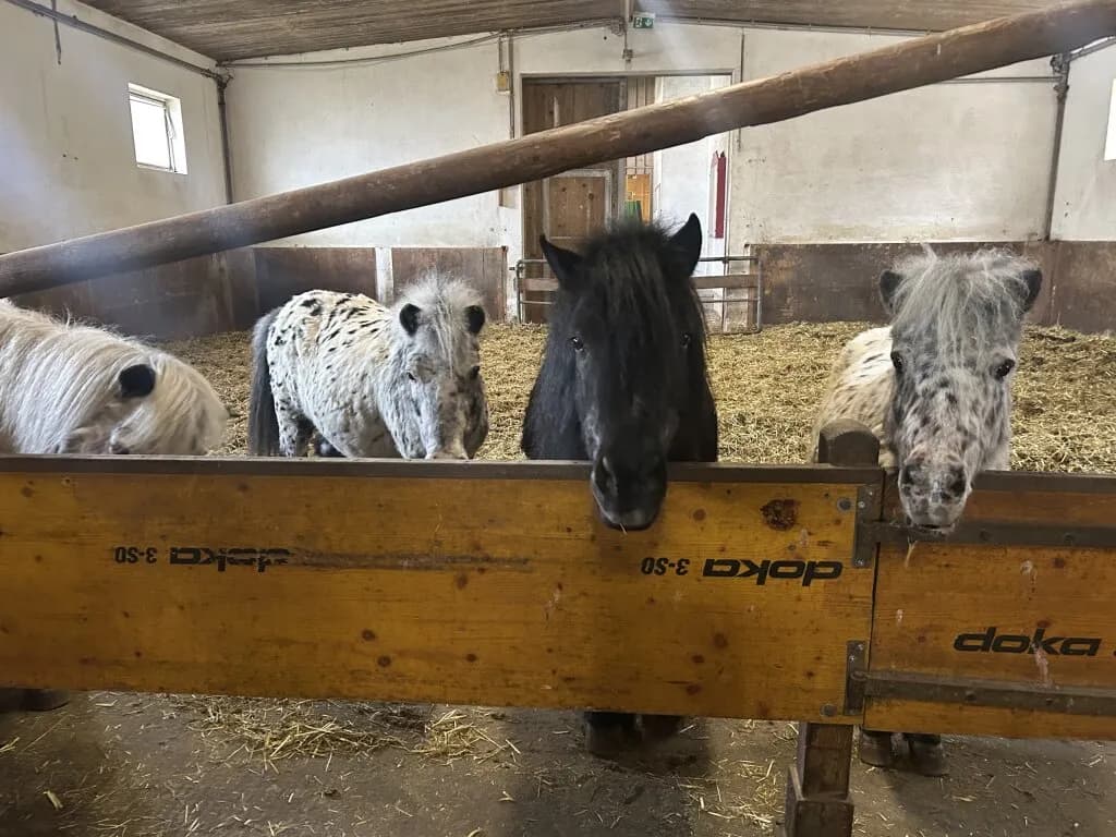Immobilie mieten in Vöcklabruck – 30 000 m², € 2.000 – Bild 22 von 28