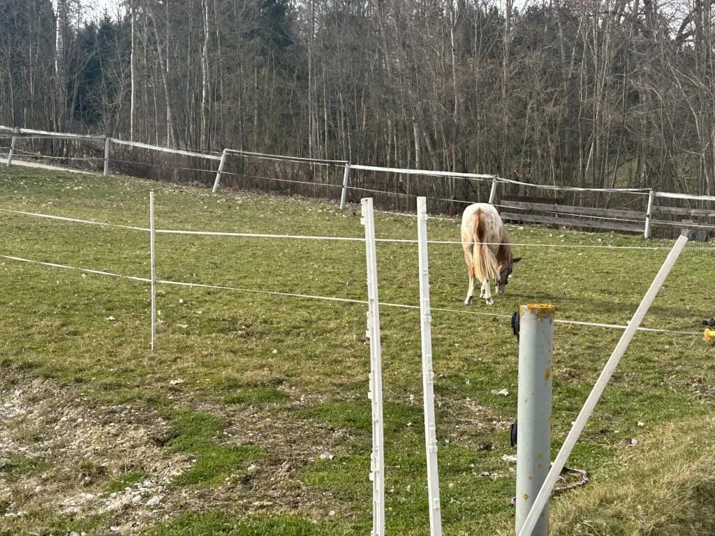 Immobilie mieten in Vöcklabruck – 30 000 m², € 2.000 – Bild 24 von 28