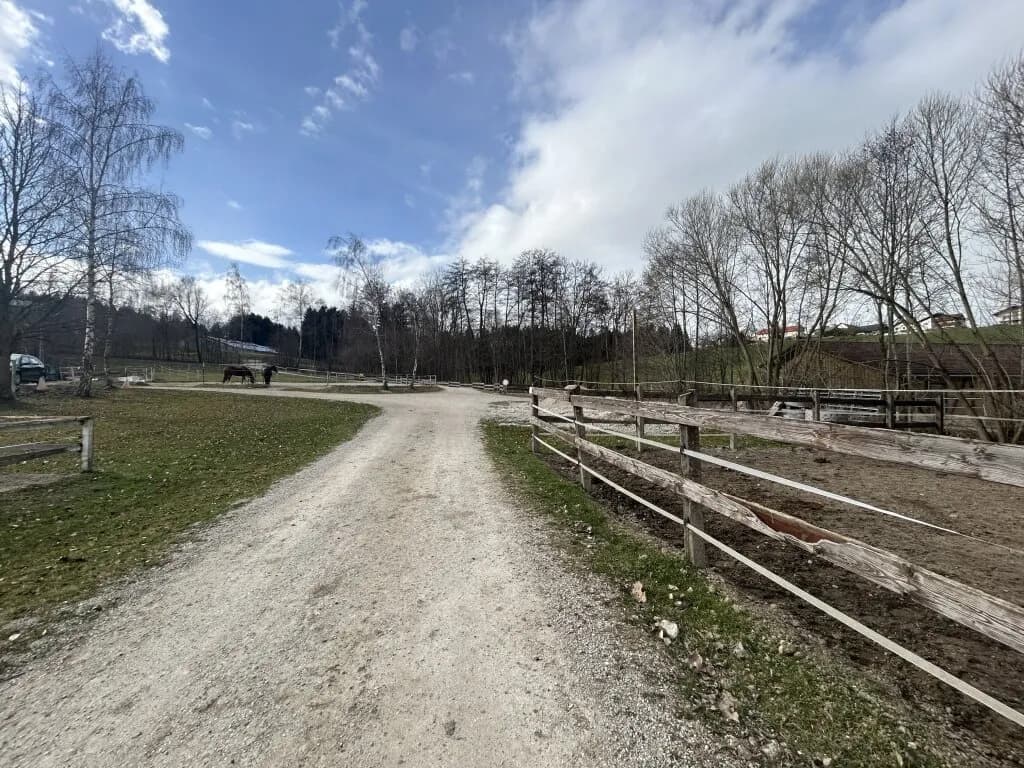 Immobilie mieten in Vöcklabruck – 30 000 m², € 2.000 – Bild 25 von 28