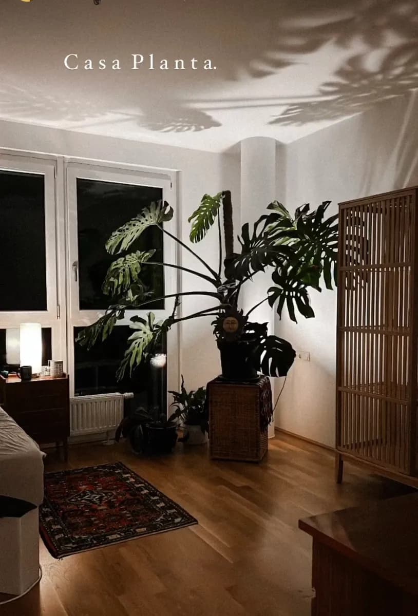 2-Zimmer-Wohnung mieten in Linz – 66 m², € 1.150 – Bild 3 von 7