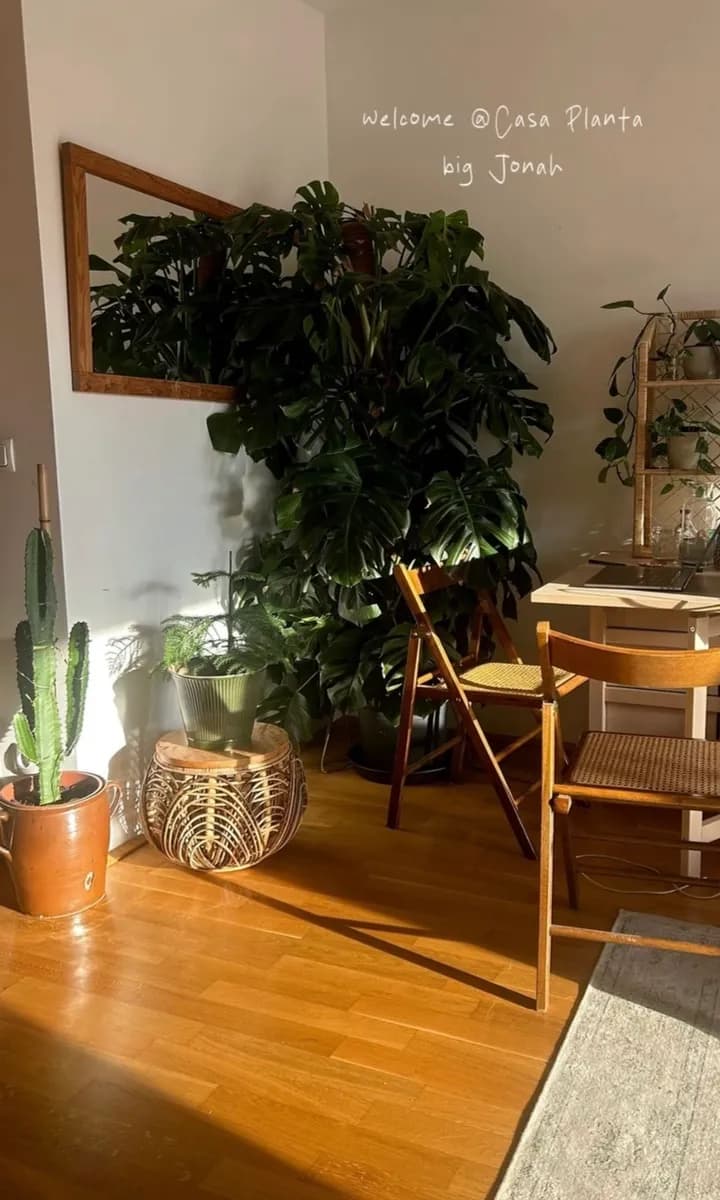 2-Zimmer-Wohnung mieten in Linz – 66 m², € 1.150 – Bild 4 von 7