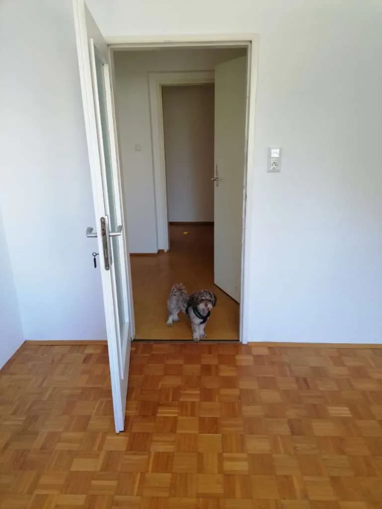 3-Zimmer-Wohnung mieten in Graz – 80 m², € 898 – Bild 10 von 14