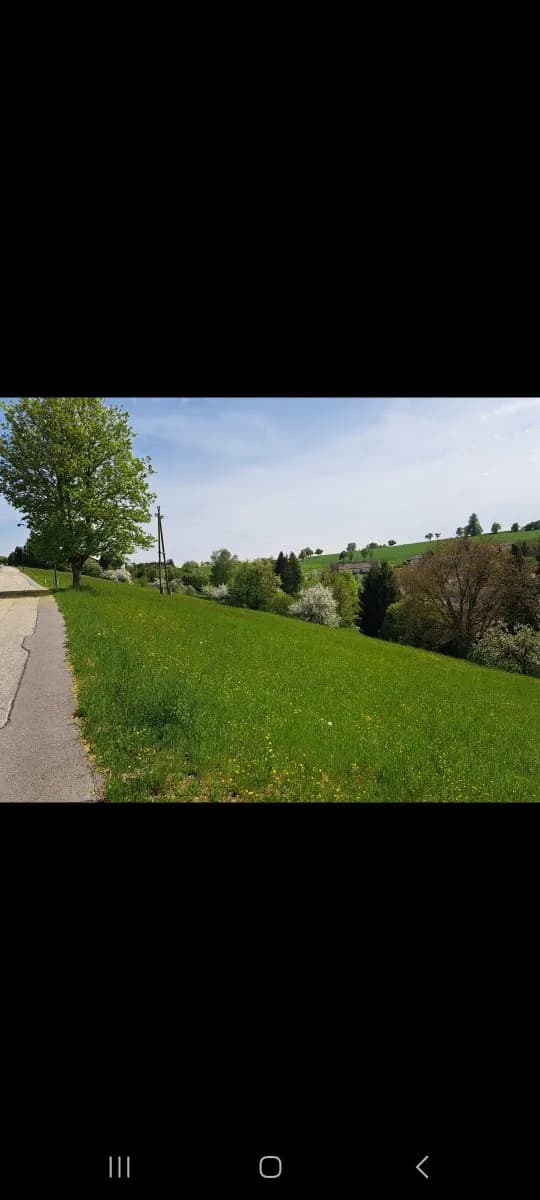 Grundstück kaufen in Grieskirchen – 5 793 m², € 150 – Bild 5 von 18