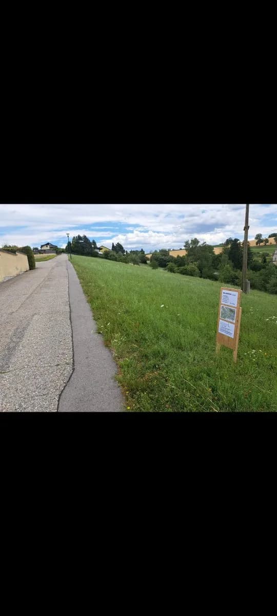 Grundstück kaufen in Grieskirchen – 5 793 m², € 150 – Bild 6 von 18