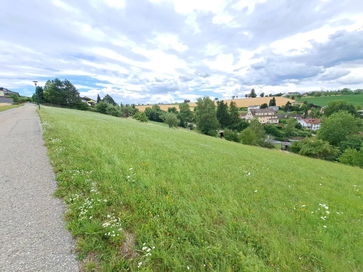 Grundstück kaufen in Grieskirchen – 5 793 m², € 150 – Bild 14 von 18