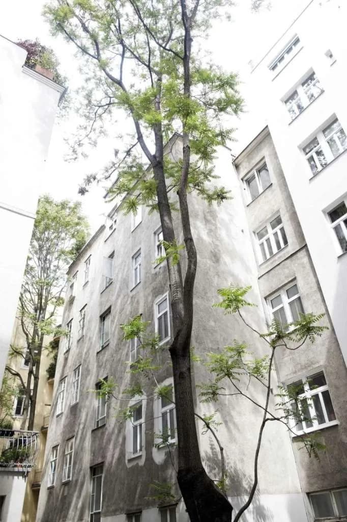 2-Zimmer-Wohnung mieten in Wien – 48 m², € 890 – Bild 10 von 12