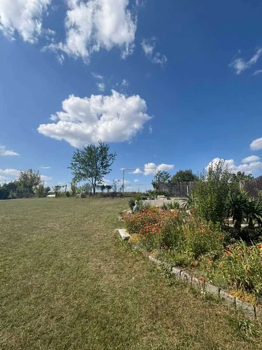 14-Zimmer-Gewerbeimmobilie kaufen in Mistelbach – 420 m², € 510.000 – Bild 6 von 11