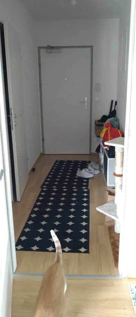 2-Zimmer-Wohnung mieten in Wien – 47 m², € 838 – Bild 10 von 13