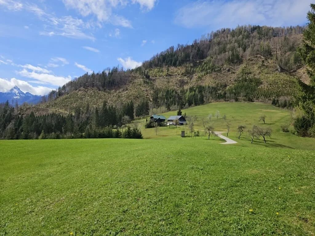 Grundstück kaufen in Liezen – 145 m², € 3 – Bild 1 von 3