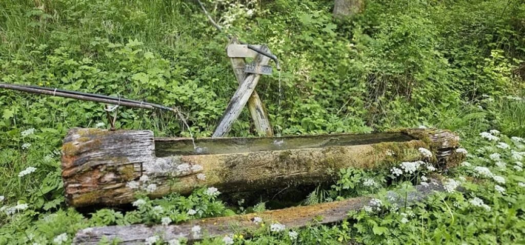 Grundstück kaufen in Liezen – 145 m², € 3 – Bild 3 von 3