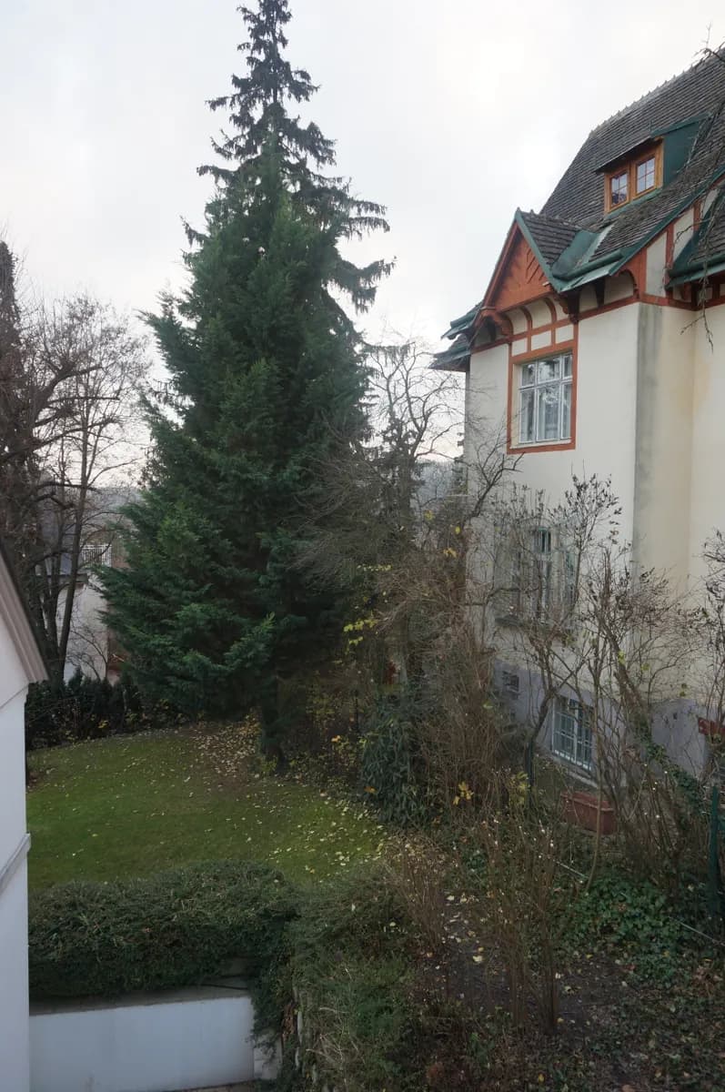 6-Zimmer-Wohnung mieten in Wien – 231 m², € 2.860 – Bild 21 von 46