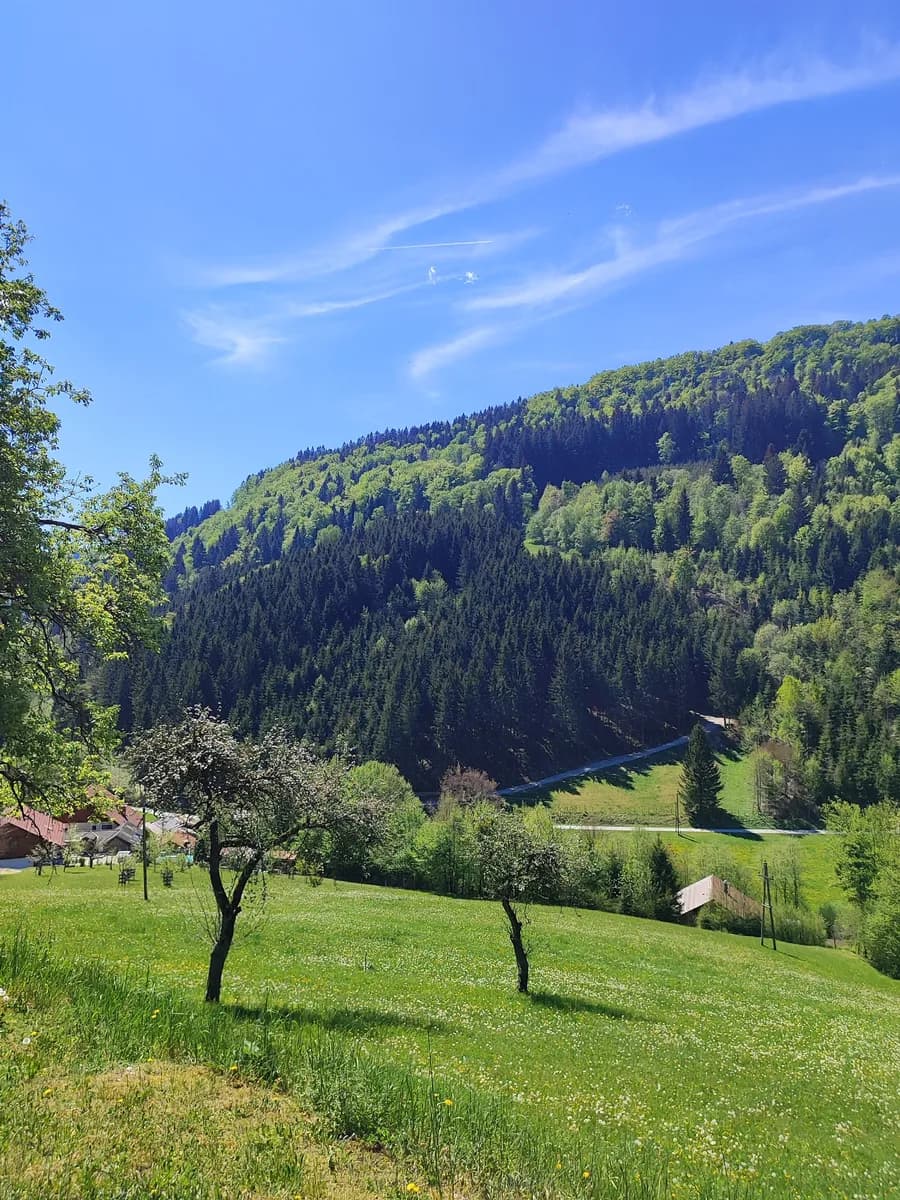 4-Zimmer-Wohnung kaufen in Sankt Pölten Land – 108 m² – Bild 7 von 43