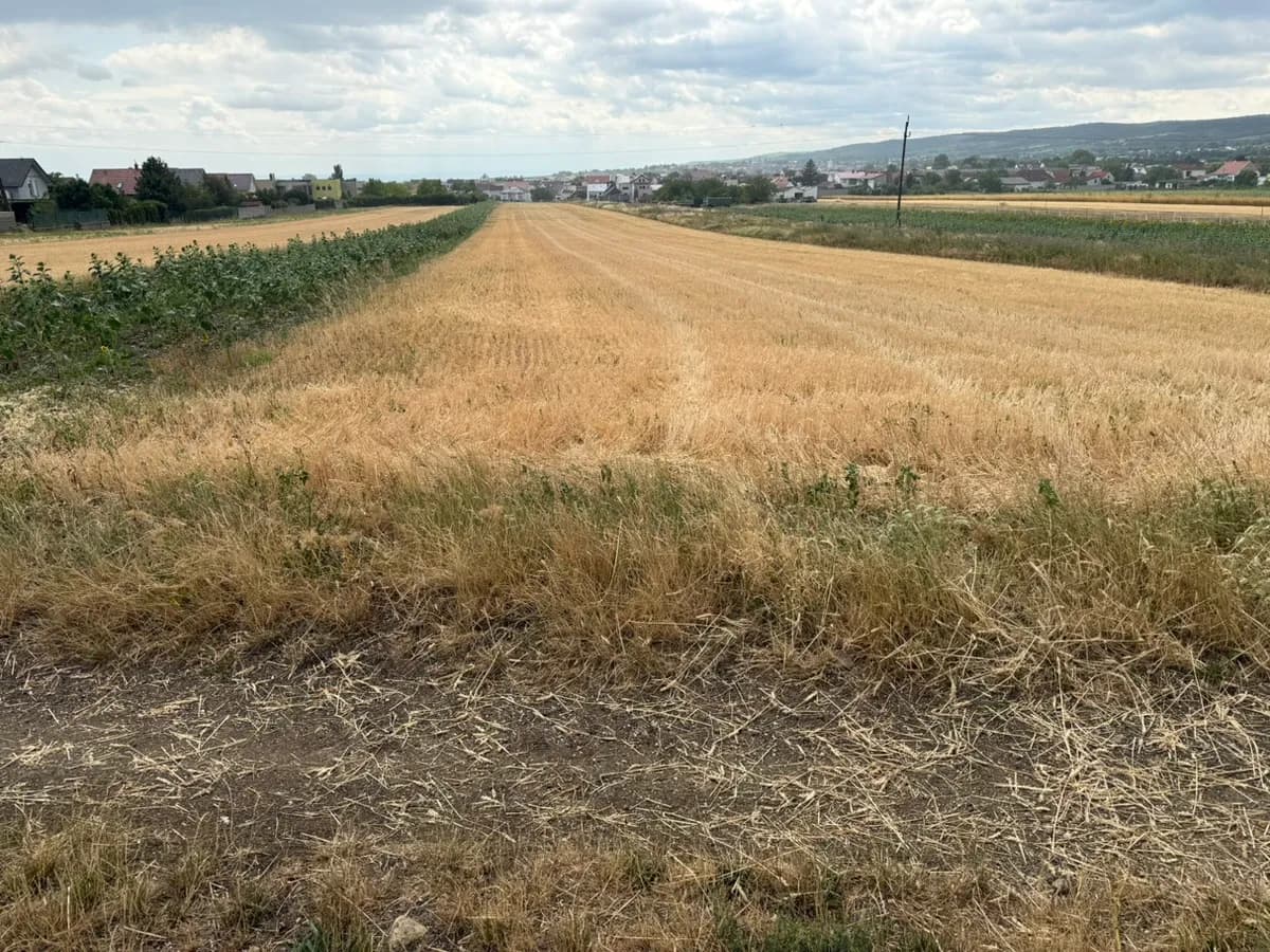 Grundstück kaufen in Neusiedl am See – 12 941 m², € 370.000 – Bild 3 von 4