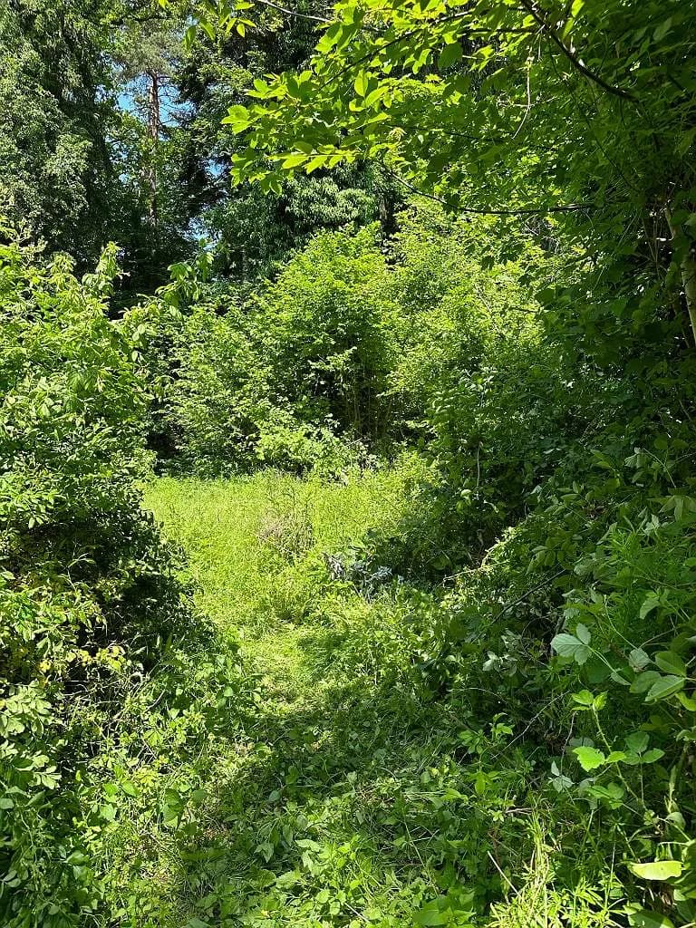 Grundstück kaufen in Graz – 4 100 m², € 370.000 – Bild 5 von 30