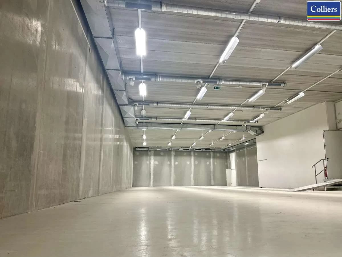 Immobilie mieten in Wien – 3 608 m² – Bild 4 von 8